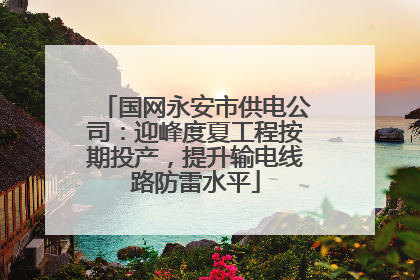 国网永安市供电公司：迎峰度夏工程按期投产，提升输电线路防雷水平