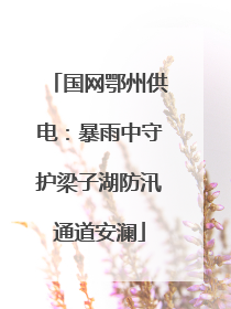 国网鄂州供电：暴雨中守护梁子湖防汛通道安澜