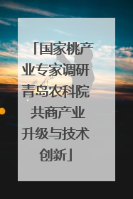 国家桃产业专家调研青岛农科院 共商产业升级与技术创新