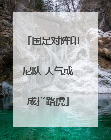 国足对阵印尼队 天气或成拦路虎