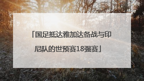 国足抵达雅加达备战与印尼队的世预赛18强赛