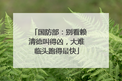 国防部：别看赖清德叫得凶，大难临头跑得最快