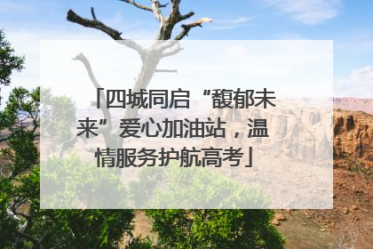 四城同启“馥郁未来”爱心加油站，温情服务护航高考