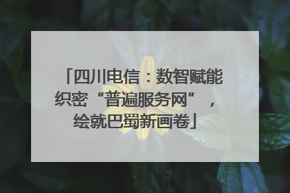 四川电信：数智赋能织密“普遍服务网”，绘就巴蜀新画卷