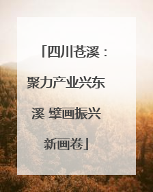 四川苍溪：聚力产业兴东溪 擘画振兴新画卷