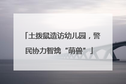 土拨鼠造访幼儿园，警民协力智擒“萌兽”