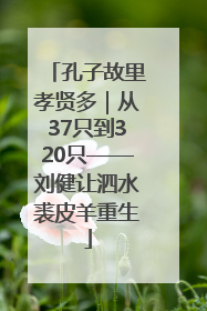 孔子故里孝贤多｜从37只到320只——刘健让泗水裘皮羊重生