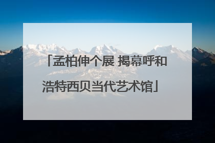 孟柏伸个展 揭幕呼和浩特西贝当代艺术馆