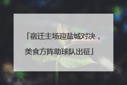 宿迁主场迎盐城对决，美食方阵助球队出征
