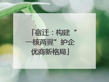 宿迁：构建“一核两翼”护企优商新格局