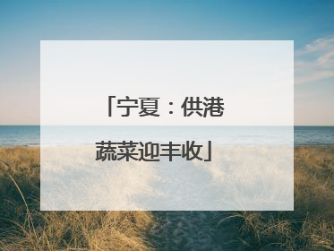 宁夏：供港蔬菜迎丰收