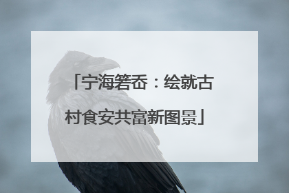 宁海箬岙：绘就古村食安共富新图景