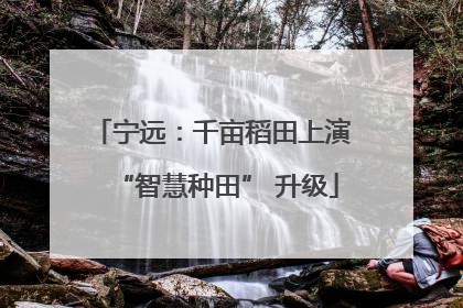 宁远：千亩稻田上演 “智慧种田” 升级