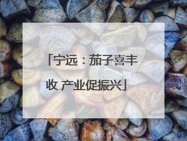 宁远：茄子喜丰收 产业促振兴