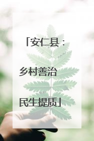 安仁县：乡村善治 民生提质