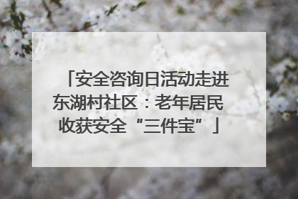 安全咨询日活动走进东湖村社区：老年居民收获安全“三件宝”