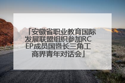 安徽省职业教育国际发展联盟组织参加RCEP成员国暨长三角工商界青年对话会