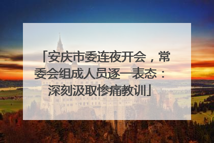 安庆市委连夜开会，常委会组成人员逐一表态：深刻汲取惨痛教训
