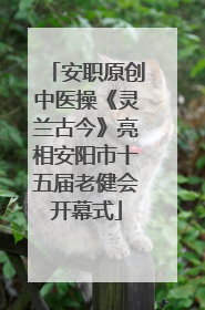 安职原创中医操《灵兰古今》亮相安阳市十五届老健会开幕式