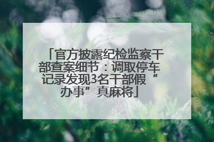 官方披露纪检监察干部查案细节：调取停车记录发现3名干部假“办事”真麻将