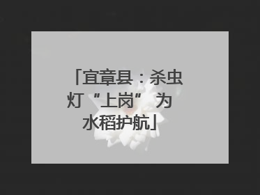 宜章县：杀虫灯“上岗” 为水稻护航