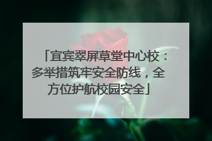 宜宾翠屏草堂中心校：多举措筑牢安全防线，全方位护航校园安全