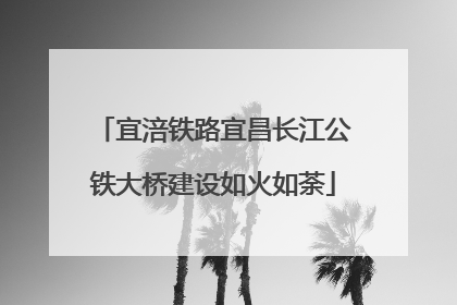 宜涪铁路宜昌长江公铁大桥建设如火如荼