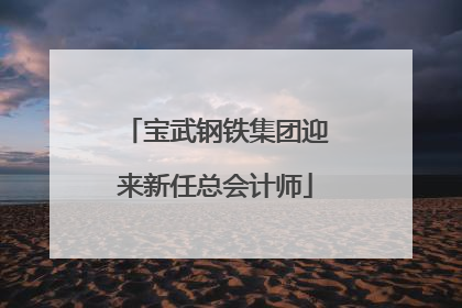 宝武钢铁集团迎来新任总会计师
