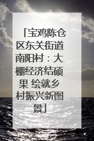宝鸡陈仓区东关街道南阳村：大棚经济结硕果 绘就乡村振兴新图景