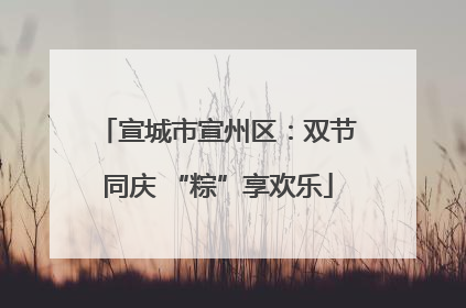 宣城市宣州区：双节同庆 “粽”享欢乐