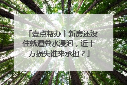 壹点帮办丨新房还没住就遭粪水浸泡，近十万损失谁来承担？