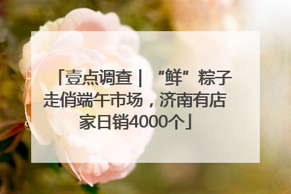 壹点调查｜“鲜”粽子走俏端午市场，济南有店家日销4000个