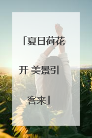 夏日荷花开 美景引客来