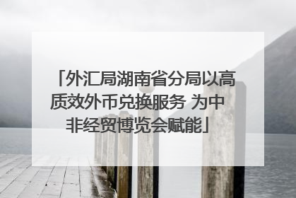 外汇局湖南省分局以高质效外币兑换服务 为中非经贸博览会赋能