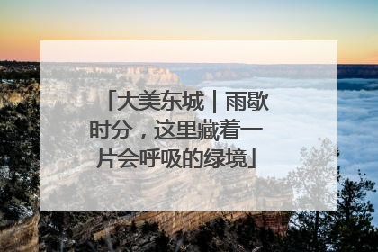 大美东城｜雨歇时分，这里藏着一片会呼吸的绿境