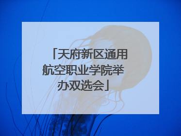 天府新区通用航空职业学院举办双选会