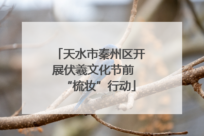 天水市秦州区开展伏羲文化节前 “梳妆”行动