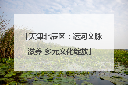 天津北辰区：运河文脉滋养 多元文化绽放