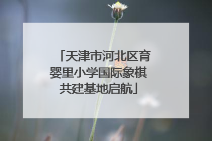天津市河北区育婴里小学国际象棋共建基地启航