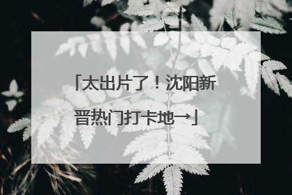 太出片了！沈阳新晋热门打卡地→