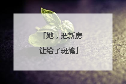 她，把新房让给了斑鸠