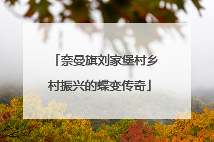奈曼旗刘家堡村乡村振兴的蝶变传奇