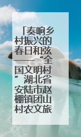 奏响乡村振兴的春日和弦——“全国文明村”湖北省安陆市赵棚镇团山村农文旅融合发展见闻