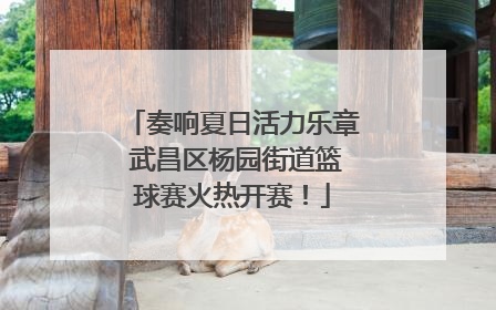 奏响夏日活力乐章 武昌区杨园街道篮球赛火热开赛！
