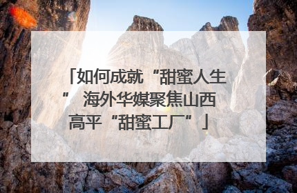 如何成就“甜蜜人生” 海外华媒聚焦山西高平“甜蜜工厂”