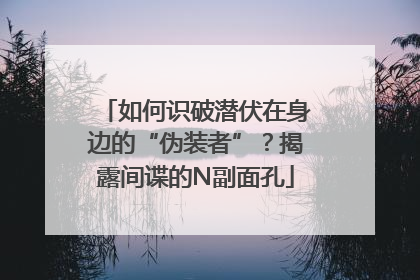 如何识破潜伏在身边的“伪装者”？揭露间谍的N副面孔