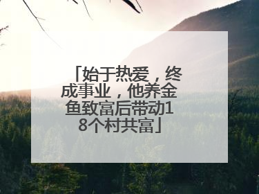 始于热爱，终成事业，他养金鱼致富后带动18个村共富