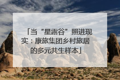当“星露谷”照进现实：康旅集团乡村旅居的多元共生样本