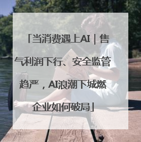 当消费遇上AI｜售气利润下行、安全监管趋严，AI浪潮下城燃企业如何破局