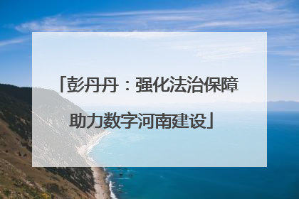 彭丹丹：强化法治保障 助力数字河南建设